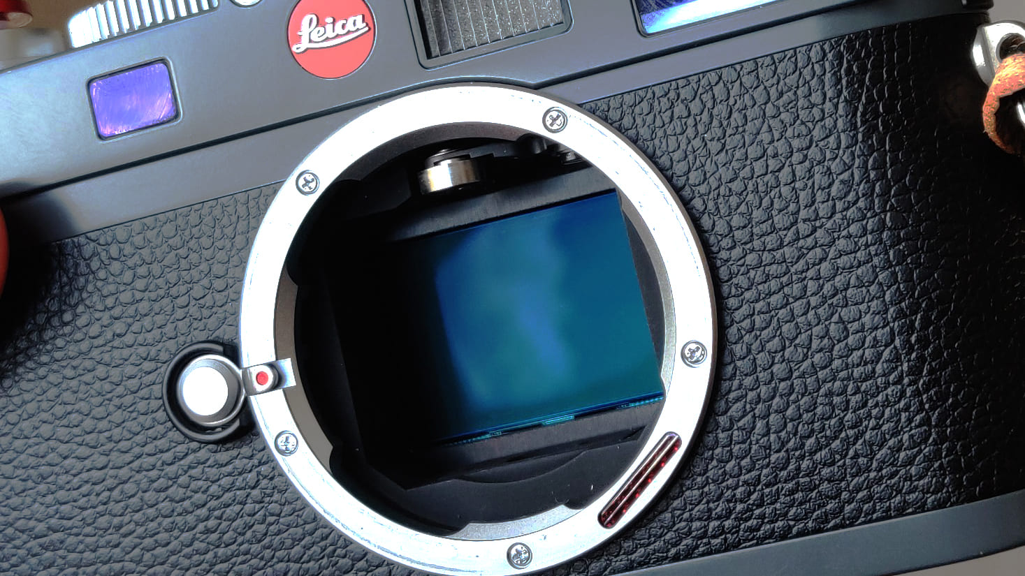 Celestron Tienda De Ventas 3 Celestron Tienda De Ventas -Celestron Tienda De Ventas iK7dJ6H5GzQ4rWTJE8CrHC