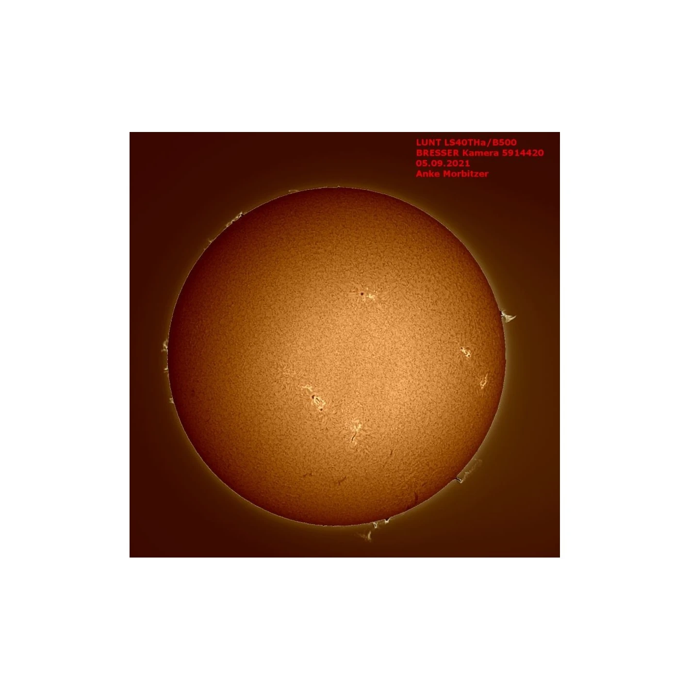 Telescopio Solar LS40THa/B1200 H-Alpha 2 Telescopio Solar LS40THa/B1200 H-Alpha - Imagen 2
