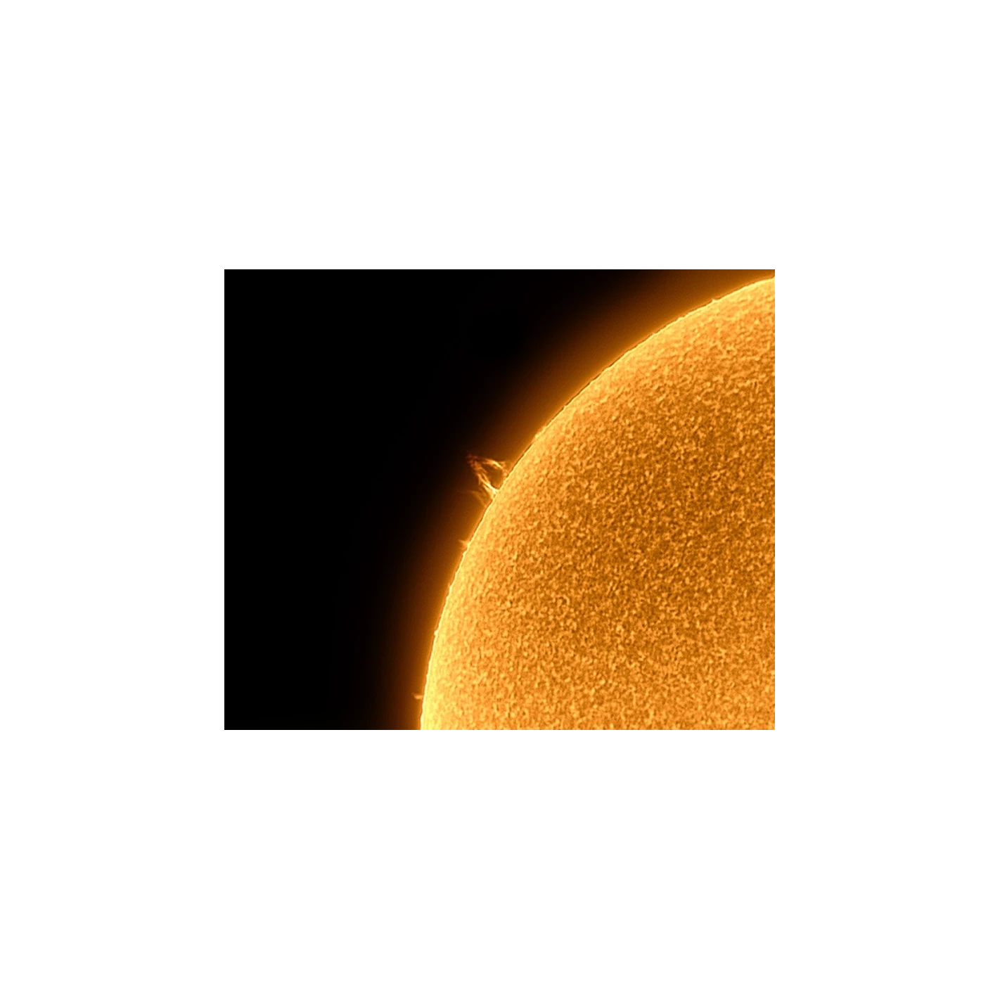 Filtro Solar LUNT H-Alpha LS50FHa / B1200d1 3 Filtro Solar LUNT H-Alpha LS50FHa / B1200d1 - Imagen 3