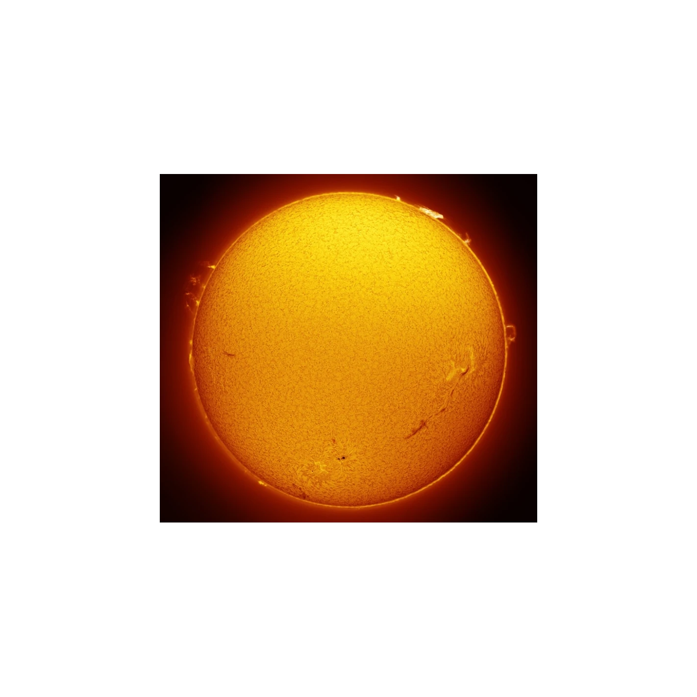 Filtro Solar LUNT H-Alpha LS50FHa / B1200d1 4 Filtro Solar LUNT H-Alpha LS50FHa / B1200d1 - Imagen 4