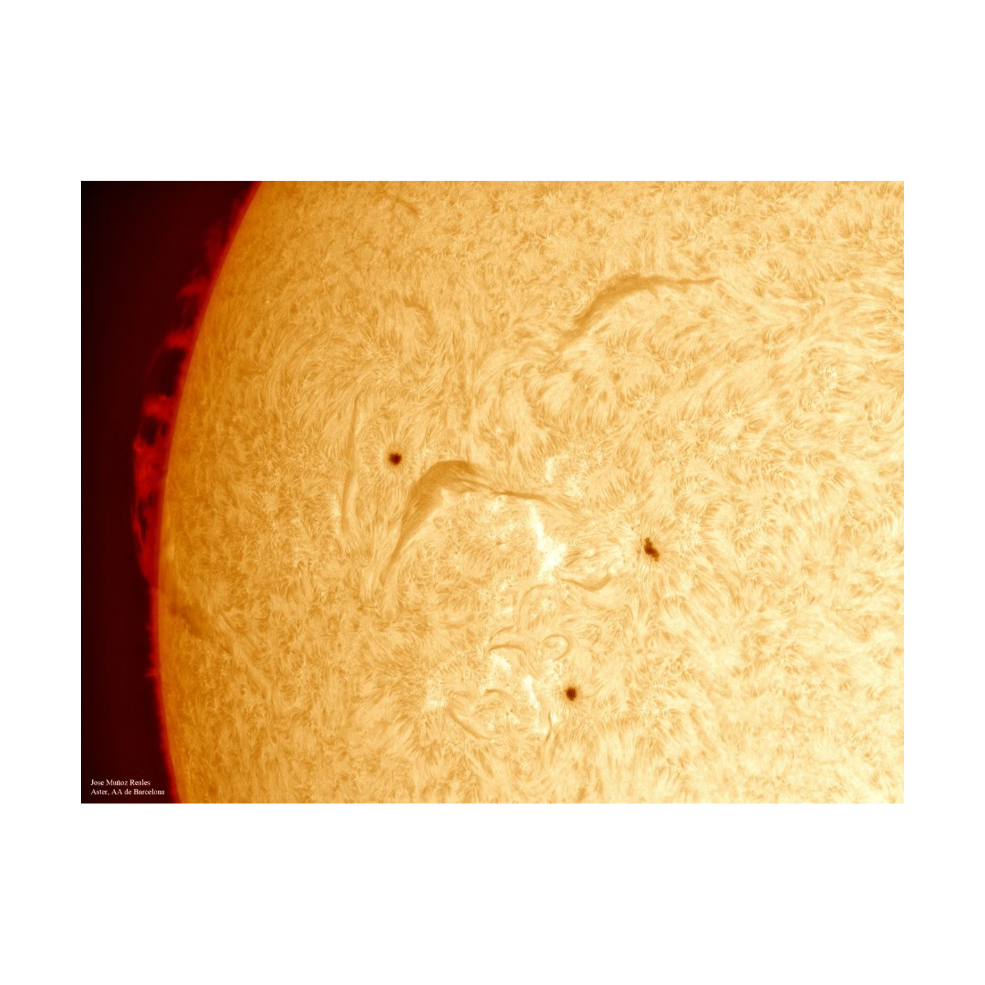 Filtro Solar LUNT H-Alfa LS100FHa/B3400 2 Filtro Solar LUNT H-Alfa LS100FHa/B3400 - Imagen 2