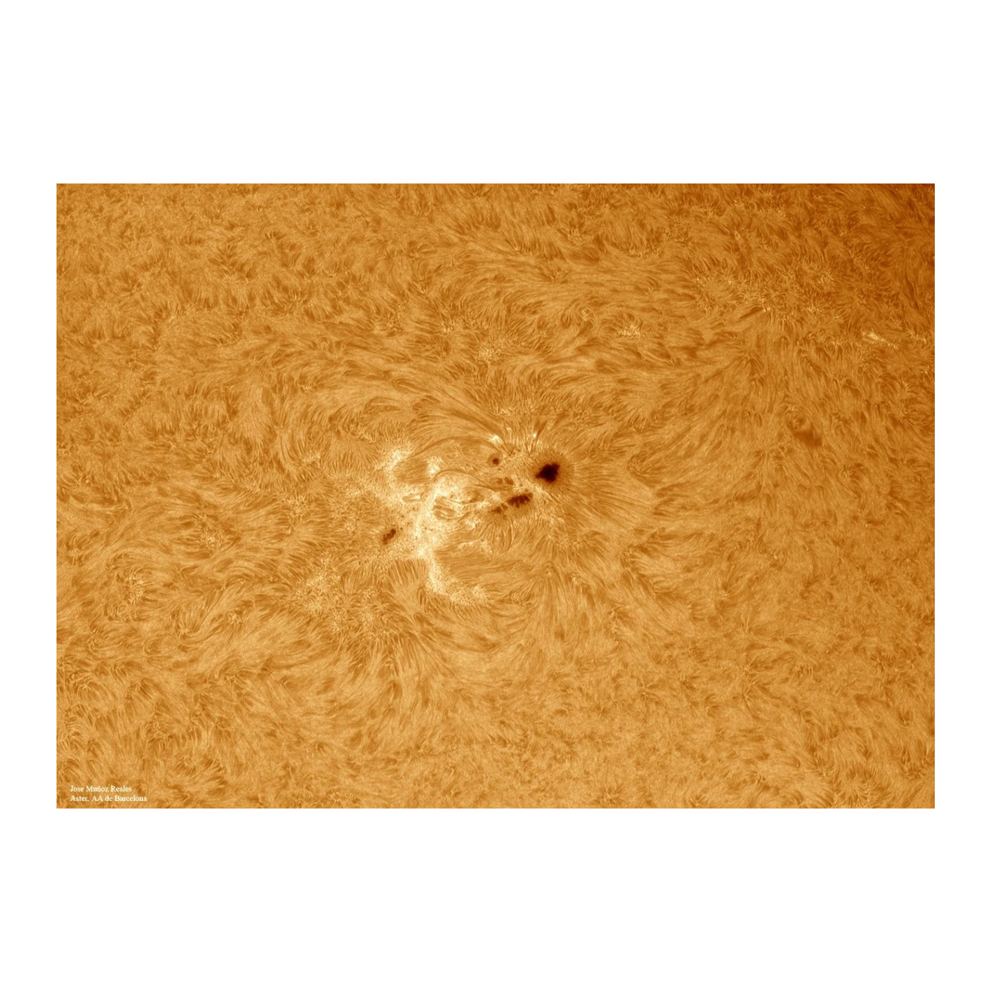 Filtro Solar LUNT H-Alfa LS100FHa/B3400 3 Filtro Solar LUNT H-Alfa LS100FHa/B3400 - Imagen 3